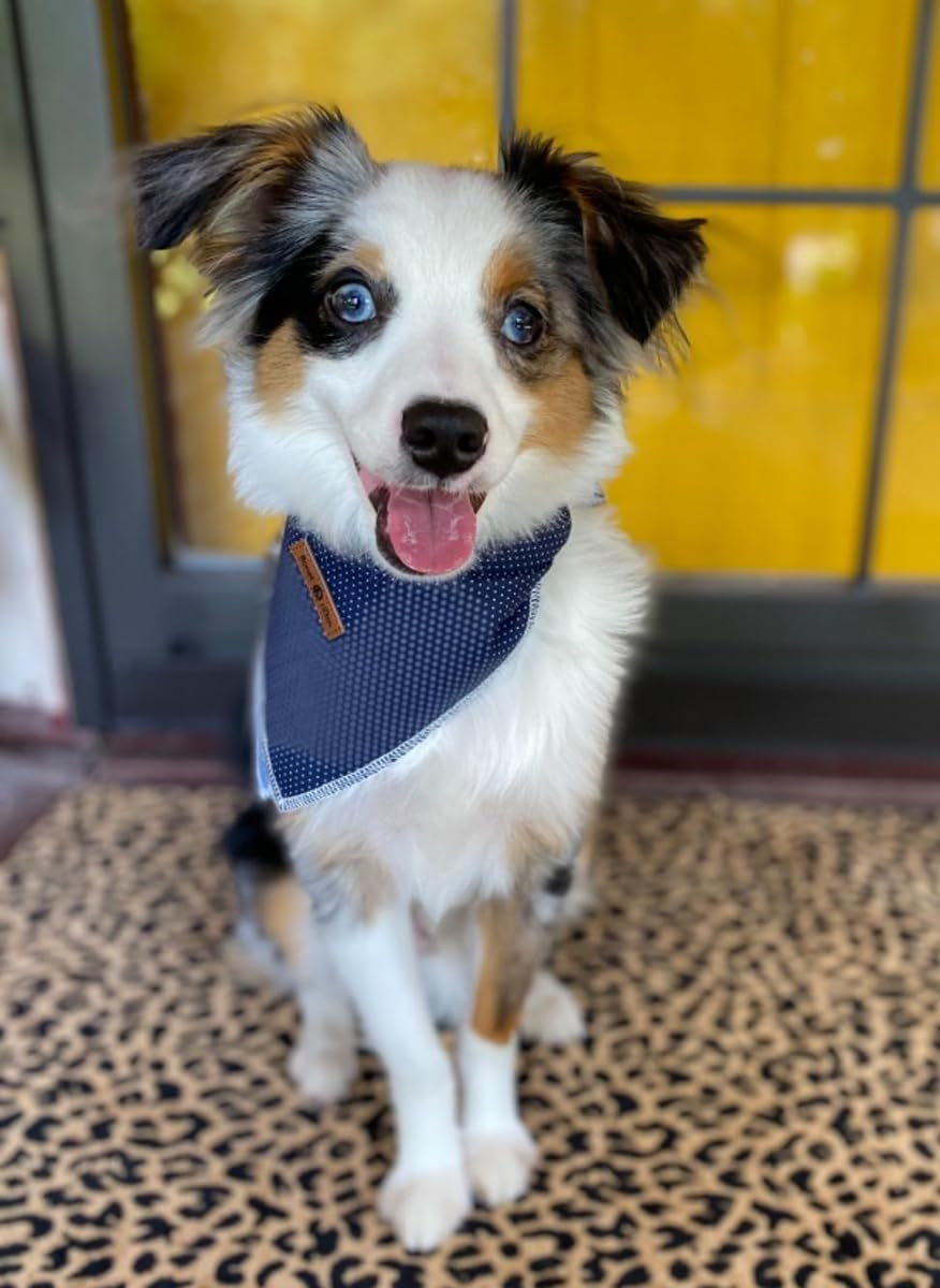 Dog Bandana for Small Medium Large Dogs