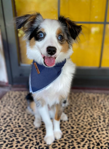 Dog Bandana for Small Medium Large Dogs