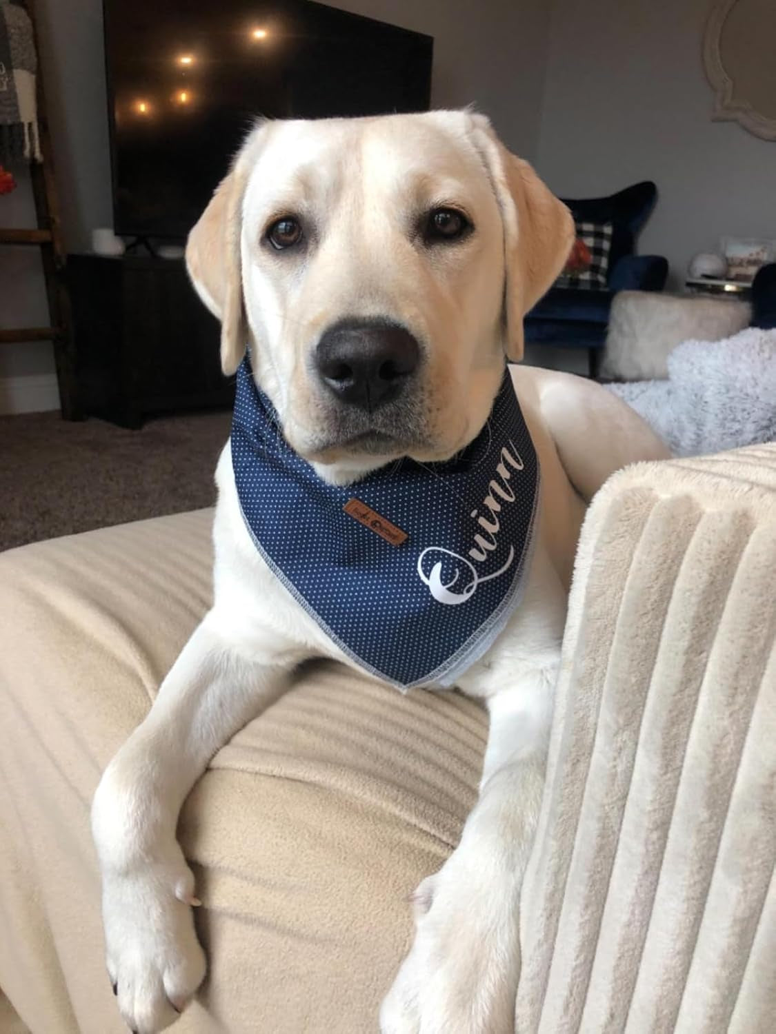 Dog Bandana for Small Medium Large Dogs