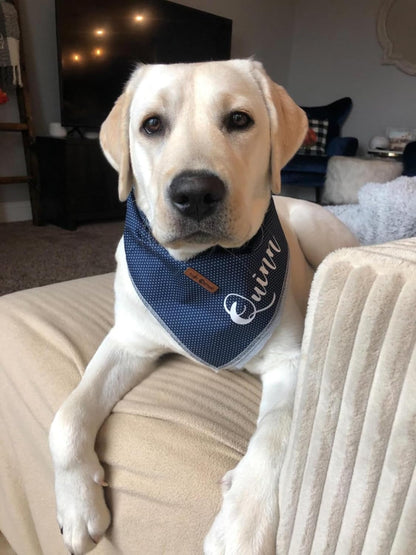 Dog Bandana for Small Medium Large Dogs