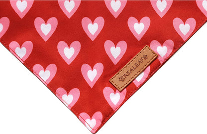 2 Pack Triangle Reversible Love Pet Scarf, Premium Durable Fabric Bandana for Medium and Large Dogs (Large)