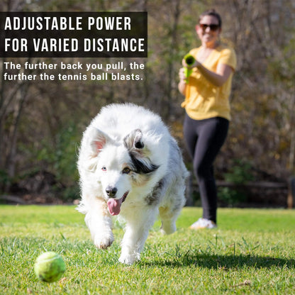 Kannon Interactive Dog Toy Ball Launcher